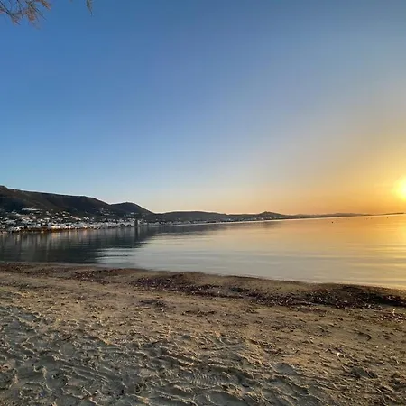 Octopus House Semesterbostad *