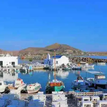 Octopus House 펜션 *