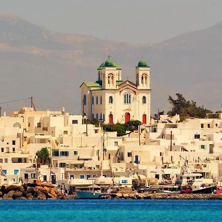 Octopus House 펜션